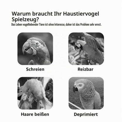 Holz-Vogelspielplatz mit Schaukel – Sittich & Nymphensittich