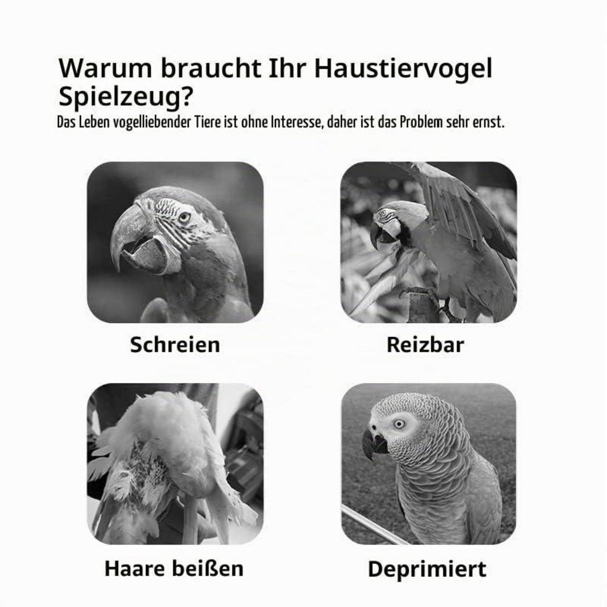 Holz Vogelspielständer für Sittiche & Co. (46x31x70cm)