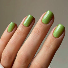 24er Set Grün Kurze Nägel Aufkleben Glossy Fake Nägel