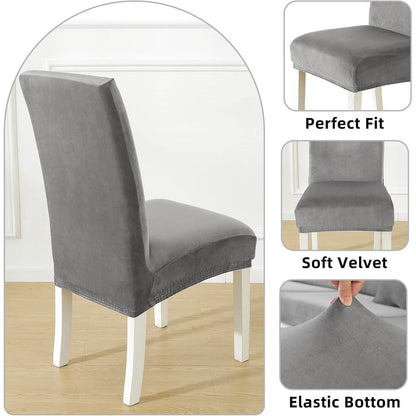 Samt Stuhlhussen 4er Set – Stretch & Waschbar, Hellgrau