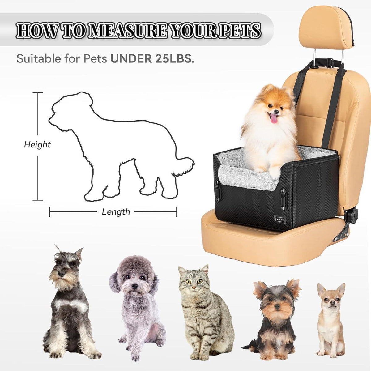 Hunde Autositz für kleine Hunde – Sicher & Komfortabel