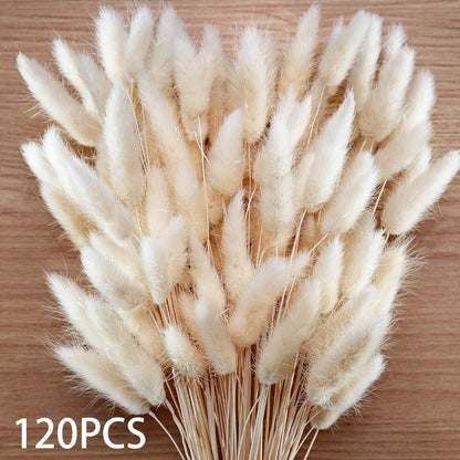 Pampas Trockenblumen Set 120 Stück Herbst Hochzeit Deko Weiß Beige