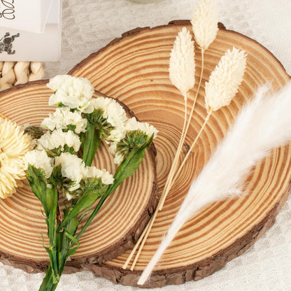 Getrocknete Blumen bunt – DIY Set für Deko & Basteln