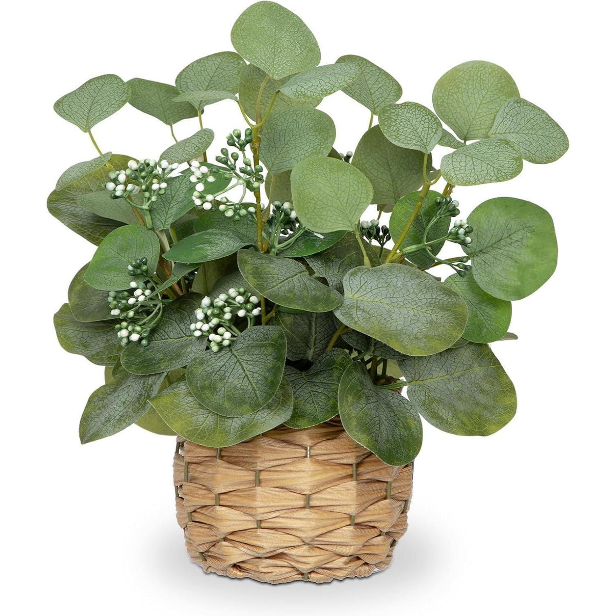 Kunstpflanze Eukalyptus im Topf, 32 cm, Grün