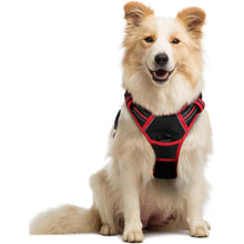 Hundegeschirr Anti-Zug mit Griff, verstellbar, atmungsaktiv, M