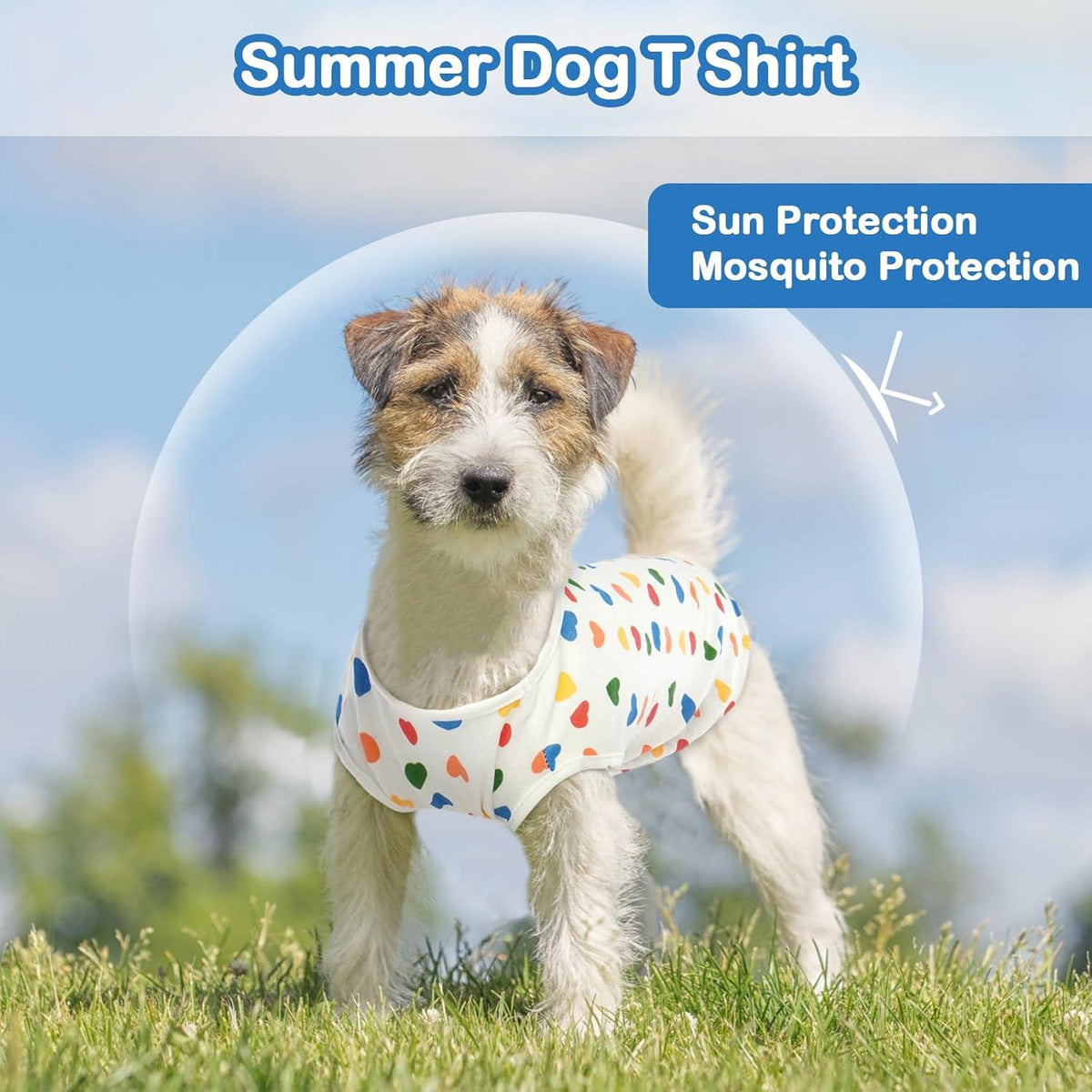 Hundepullover Kleine Hunde Atmungsaktives Shirt XL Buntes Herz
