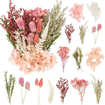 Getrocknete Blumen Set für DIY Heimdeko & Basteln (Rosa)