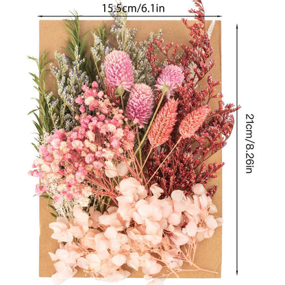 Getrocknete Blumen Set für DIY Heimdeko & Basteln (Rosa)