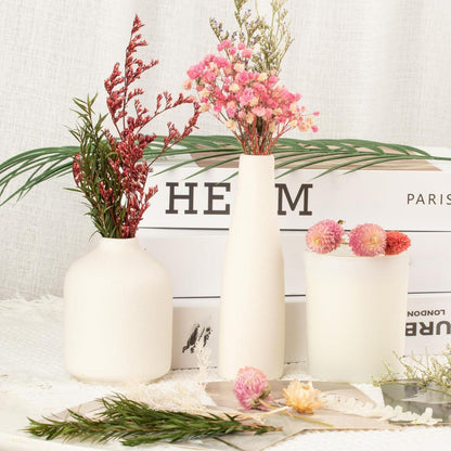 Getrocknete Blumen Set für DIY Heimdeko & Basteln (Rosa)