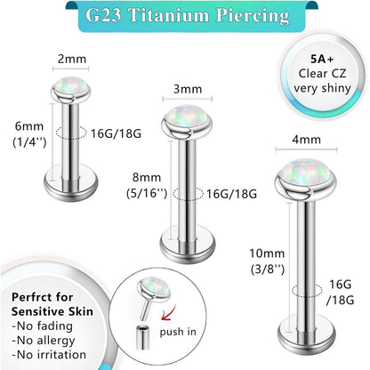 G23 Titan Piercing Schmuck für Ohr, Helix, Lippe, Tragus – Hypoallergen, Silber & Gold