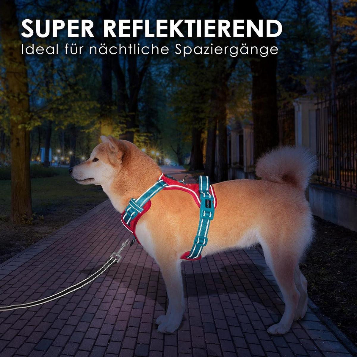 Hundegeschirr Anti-Zug Verstellbar Rot/Petrol S