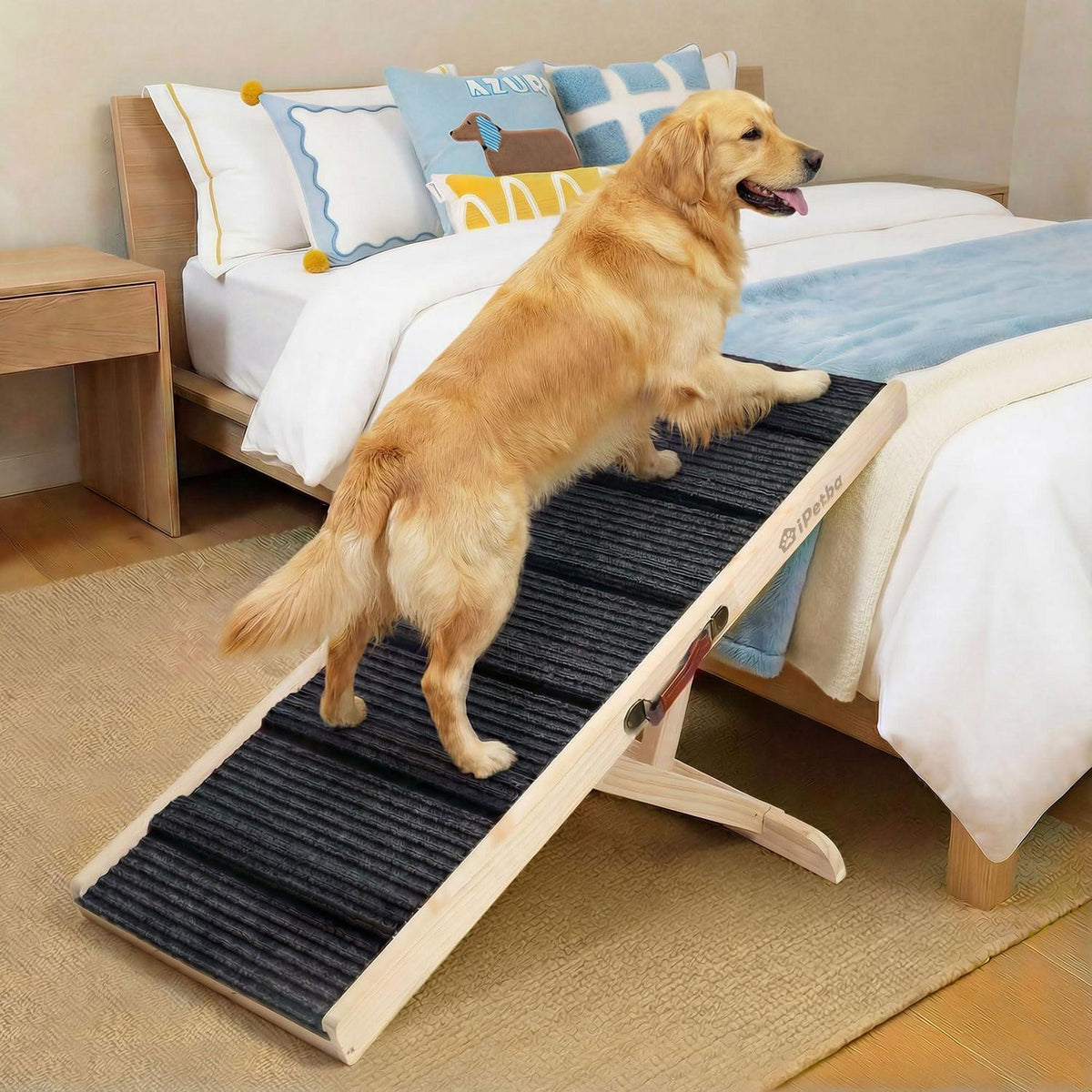 Hunderampe Bett & Sofa – Verstellbar, Anti-Rutsch, Für kleine & mittel Hunde