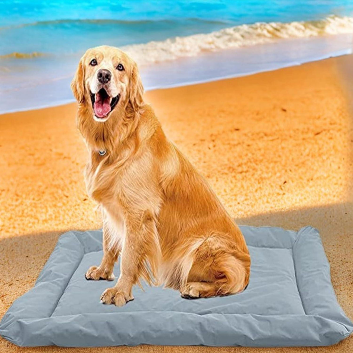 Hundedecke wasserdicht & faltbar – Outdoor & Reisebett