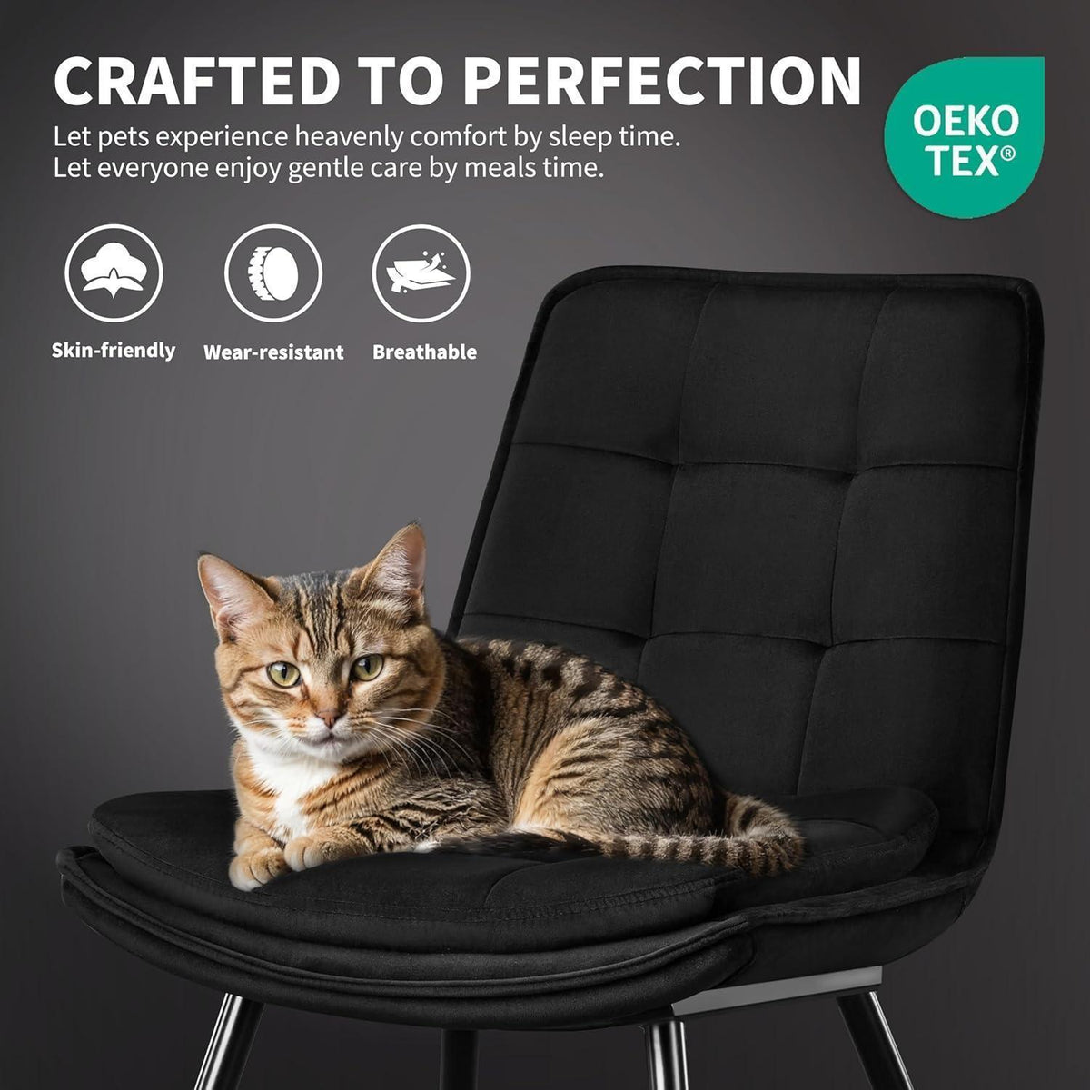 Samt Esszimmerstühle 2er Set – Gepolstert & Modern