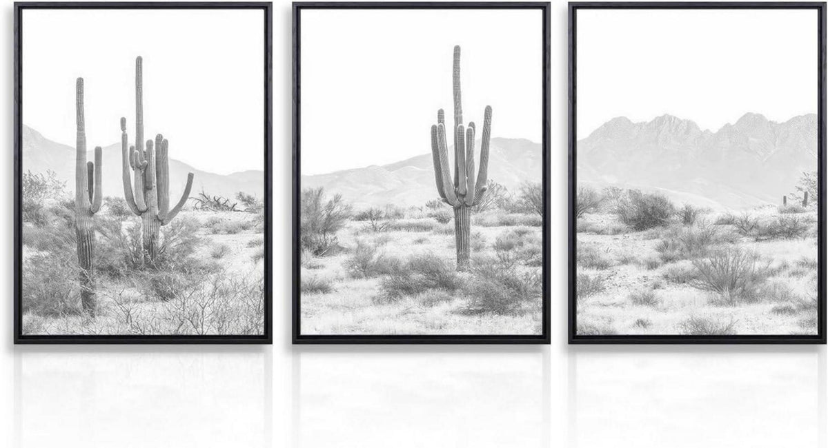 Kaktus Wüste Landschaft Poster Wanddekoration Set 12x16 in