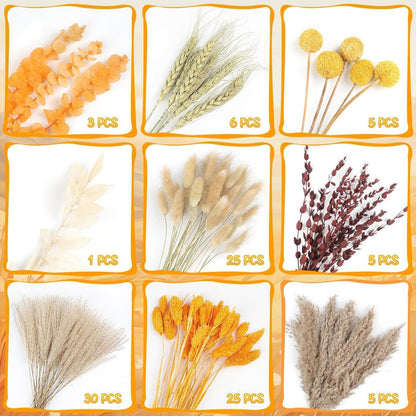 105x Getrocknetes Pampasgras - Herbst Deko & Boho Blumen