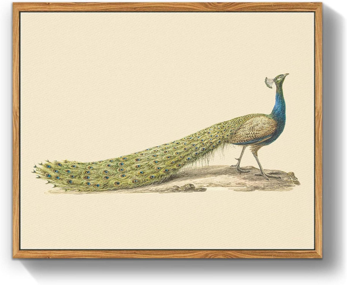 Vintage Vogel Leinwand Bilder mit Rahmen Holz Wandbilder 30x40 cm