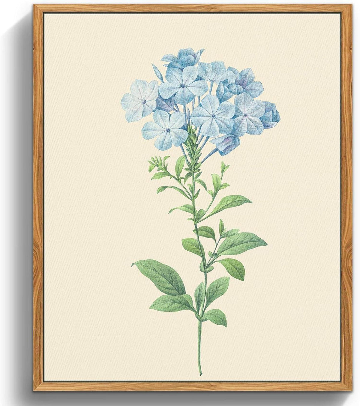 Vintage Botanische Leinwandbilder mit Rahmen 30x40 cm Wohnzimmer