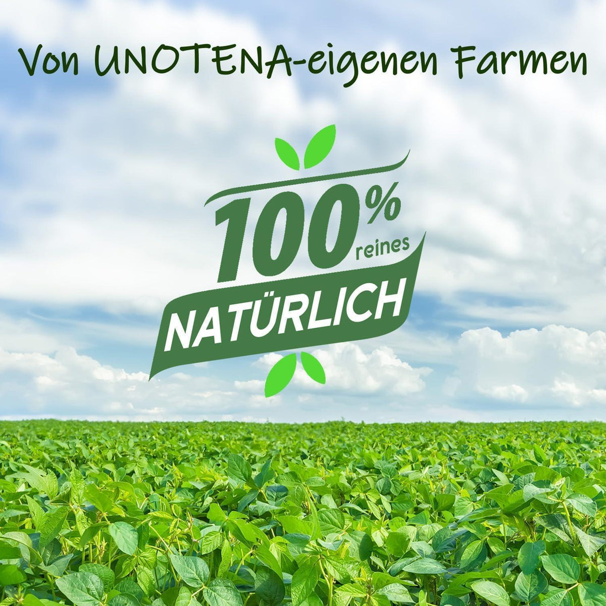 Sojawachs Flocken 18kg – Natürliches Wachs für Kerzen