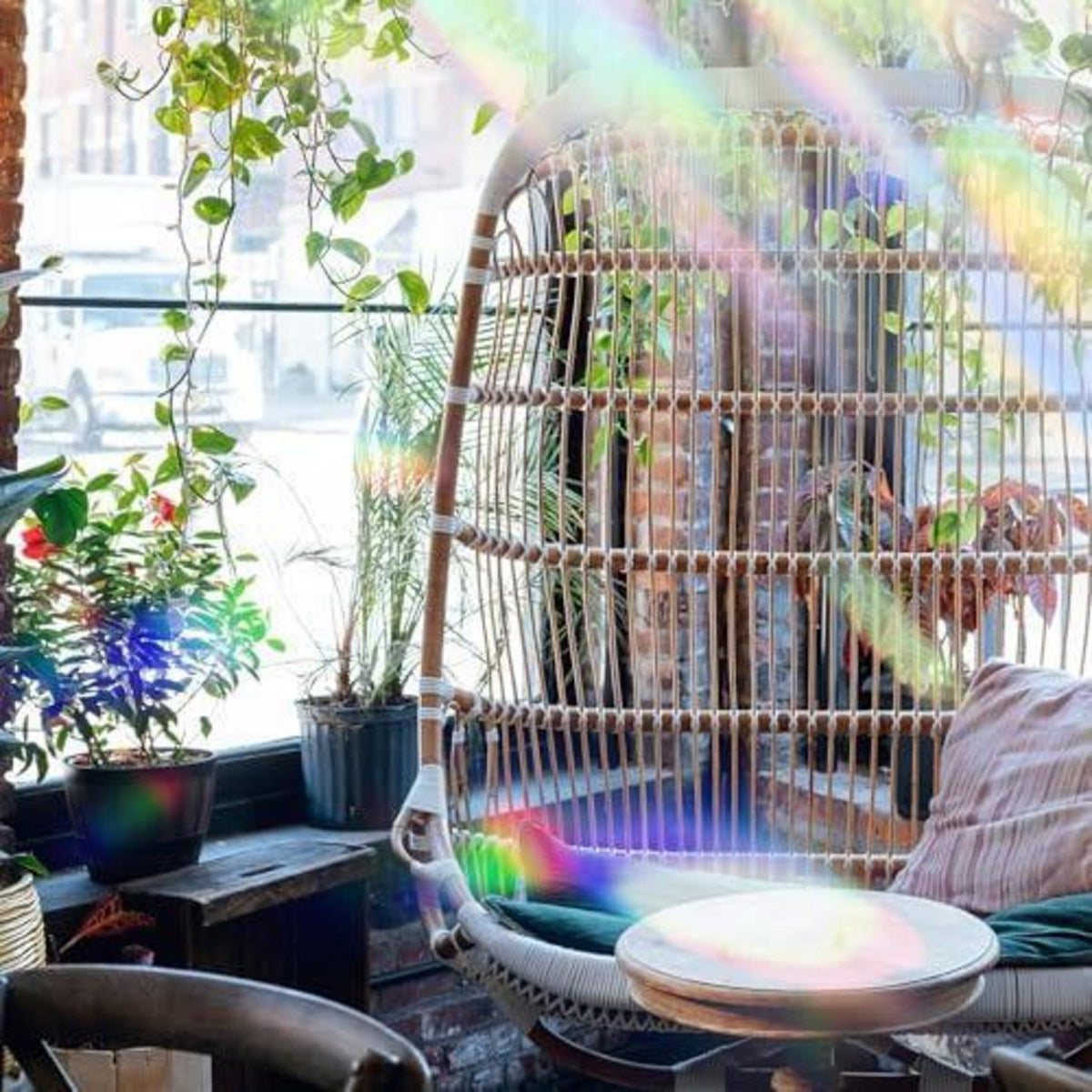 84x Prisma Fensteraufkleber Sterne – Anti-Vogel & Suncatcher