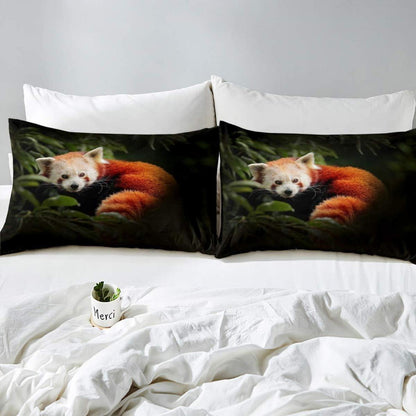 Bettwäsche Set Waschbär Panda 220x240cm Baumgrün 3D Kinderzimmer