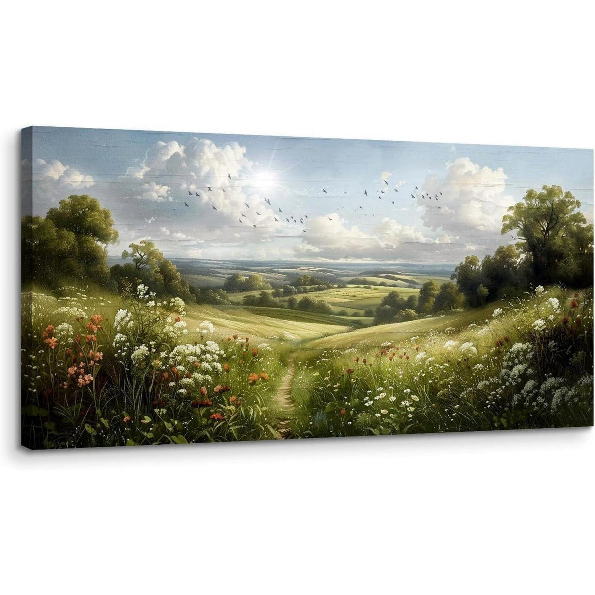 Leinwandbild Sonniges Feld 50x100 cm für Wohnzimmer & Büro