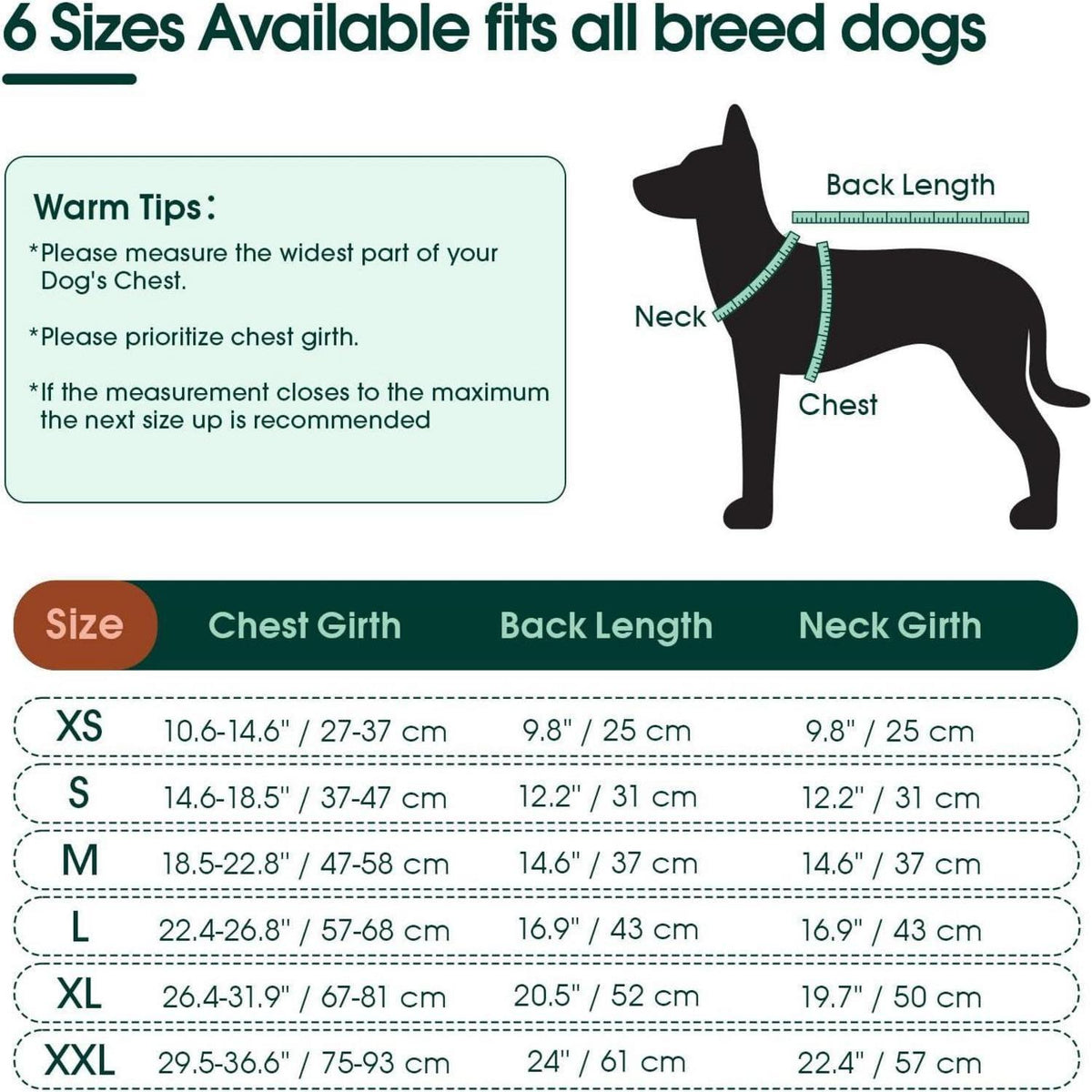 Hundebody nach OP – Wundschutz & Erholungsanzug für Hunde