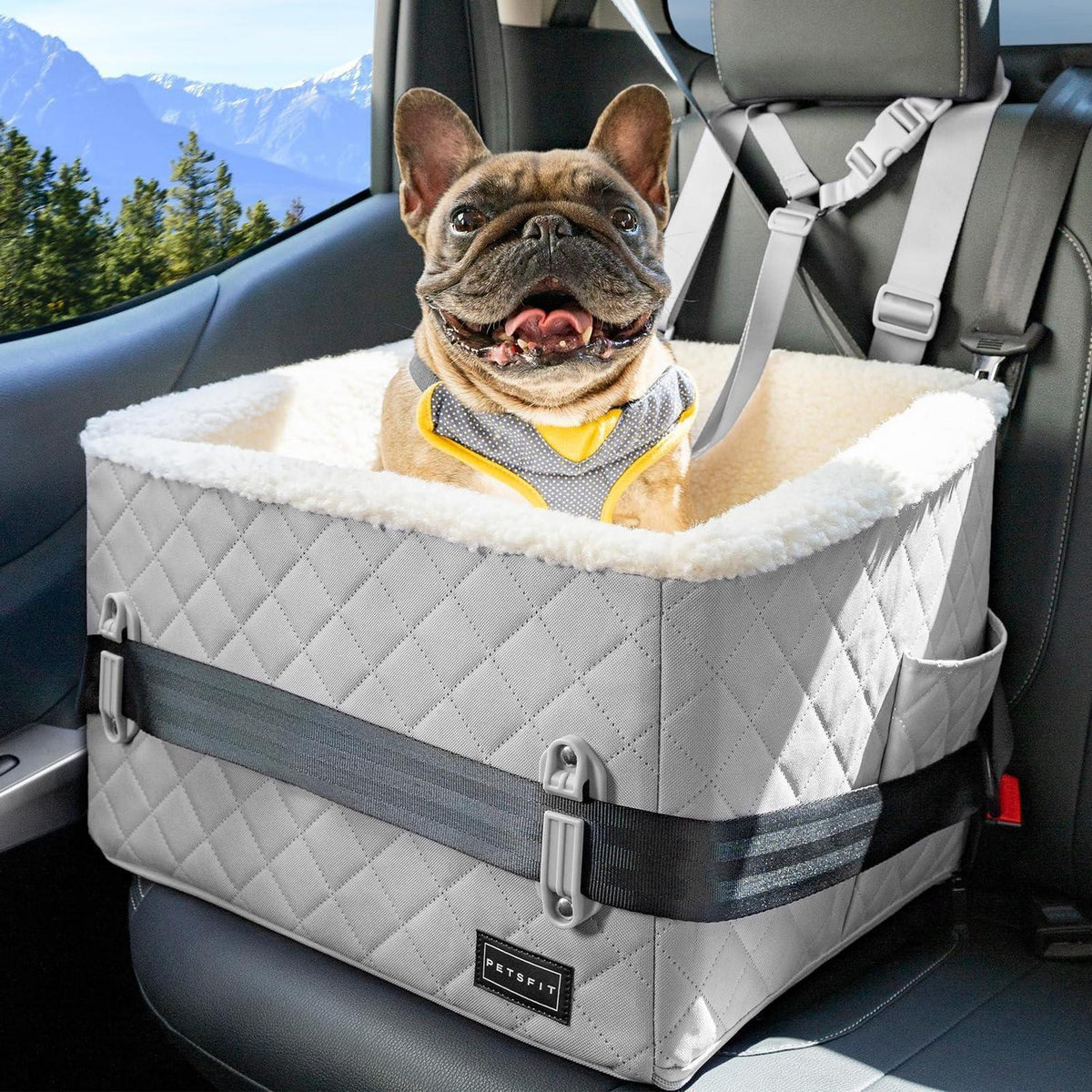 Hunde Autositz erhöht – Sicher & Komfortabel für kleine Hunde