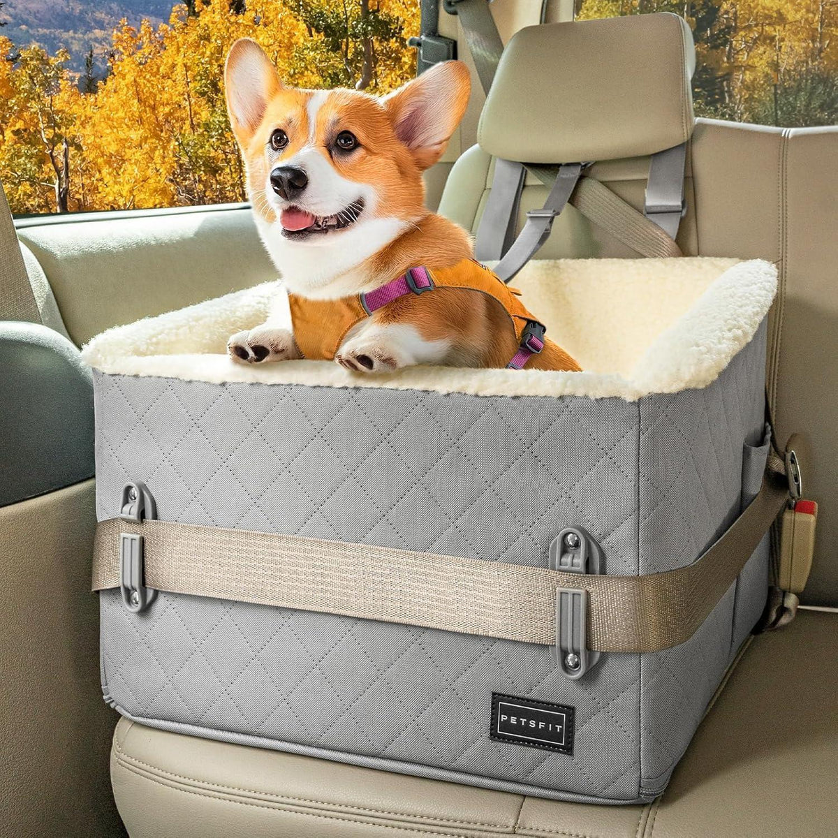 Hunde Autositz erhöht – Sicher & Komfortabel für kleine Hunde