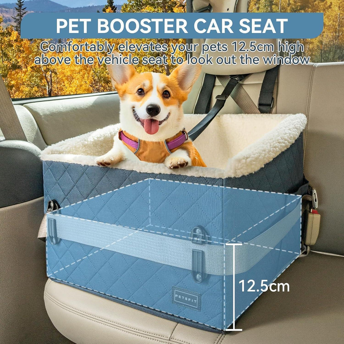 Hunde Autositz erhöht – Sicher & Komfortabel für kleine Hunde