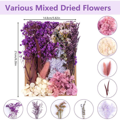 Trockenblumen Set Violett für DIY & Wohndeko