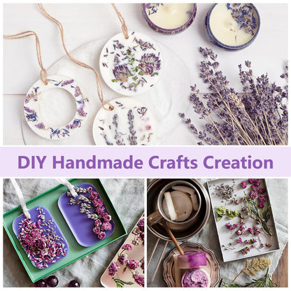 Trockenblumen Set Violett für DIY & Wohndeko