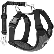 Hundegeschirr Auto Sicherheitsgurt Set Grau S
