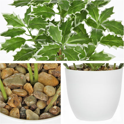 Kleine Kunstpflanze Ficus im Topf, naturgetreu, 25cm