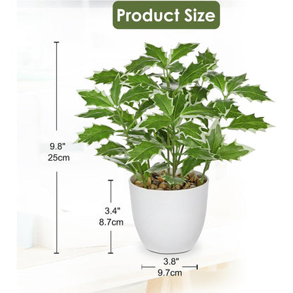 Kleine Kunstpflanze Ficus im Topf, naturgetreu, 25cm