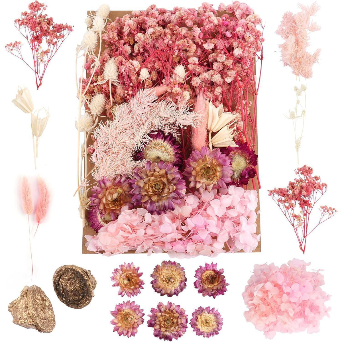 Getrocknete Blumen Rosa-Weiß für DIY & Deko