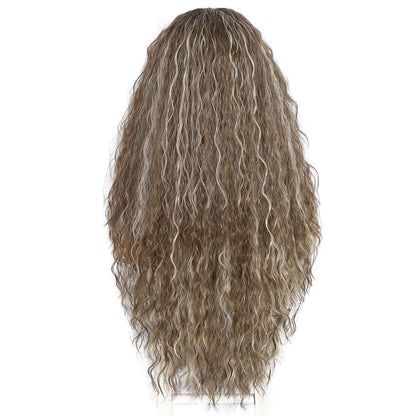 Lockige Ombre Grau Synthetische Lace Front Perücke 26 Zoll