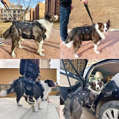 Taktisches Hundegeschirr Schwarz M – Robust & Vielseitig