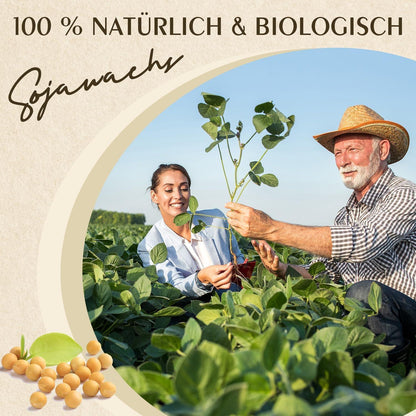 Premium Sojawachs für Kerzen – 20kg, 100% Natürlich