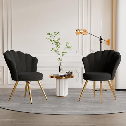 Samt Esszimmerstuhl mit Muschelsitz & Goldbeinen Schwarz x 2