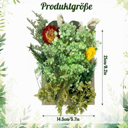 Getrocknete Blumen – Naturdeko für Zuhause & DIY Projekte