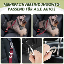 2x Hunde Sicherheitsgurt Auto – Elastische Ruckdämpfung & Verstellbar