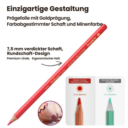 300-Farben Ölfarbstifte Set für Künstler & Ausmalbilder