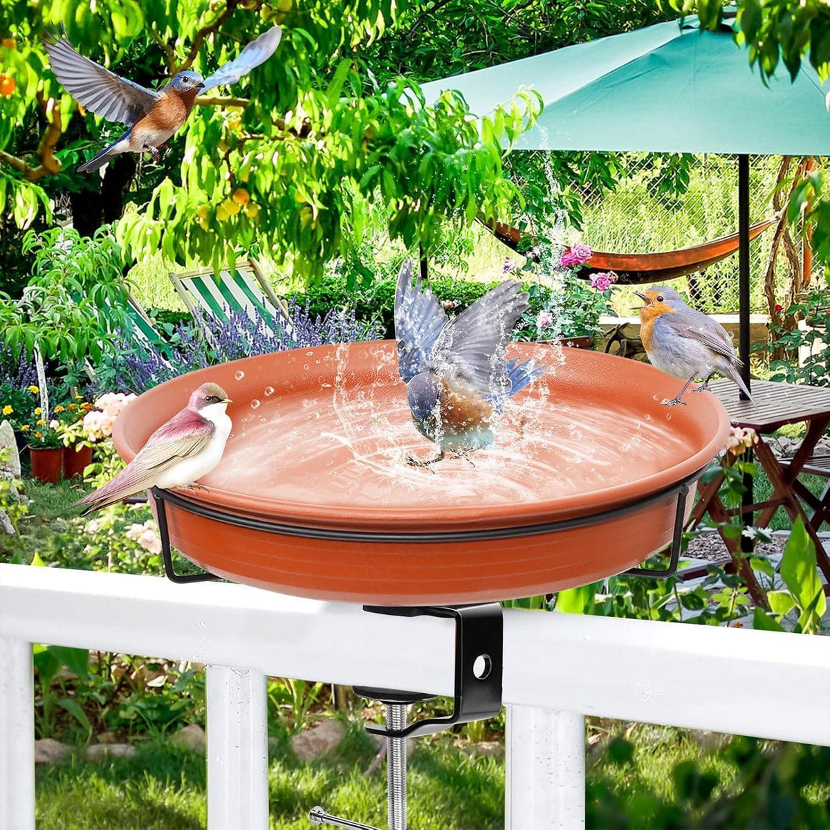 Vogeltränke Balkon Modern – Frostsicher & Hängend Braun