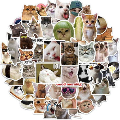 100 Katzen Meme Aufkleber – Wasserdicht & Kreativ