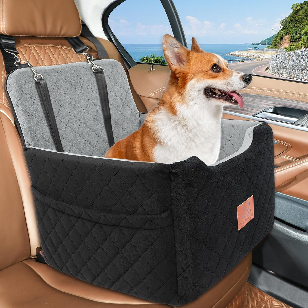 Hunde Autositz für kleine Hunde – Abnehmbar & Waschbar