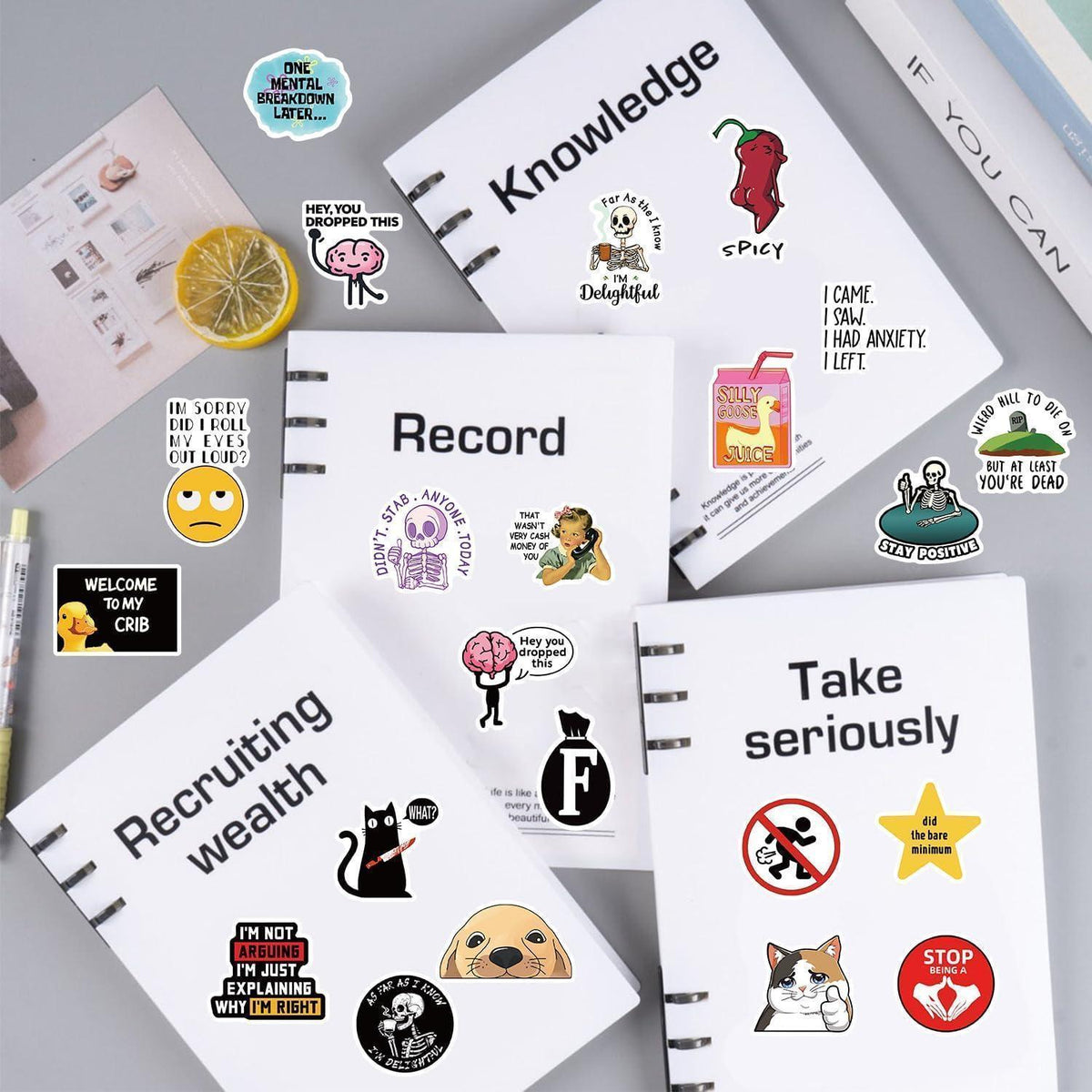 100 Meme Aufkleber Set für Laptop & Co. – Lustige Sticker