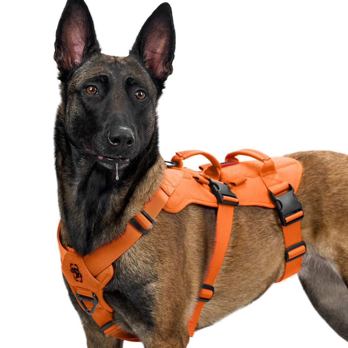 Taktisches Hundegeschirr Orange XL – Atmungsaktiv & Sicher
