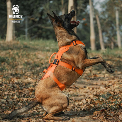 Taktisches Hundegeschirr Orange XL – Atmungsaktiv & Sicher