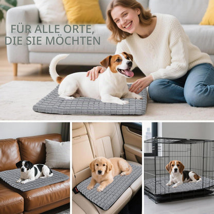 Flauschiges Orthopädisches Hundebett 60x45cm Grau